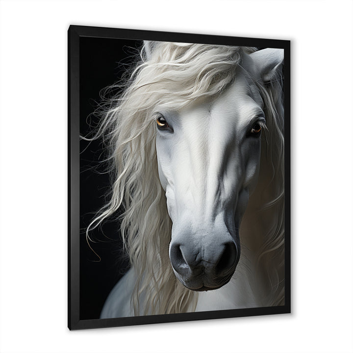 White Horse Serenity - Horse Canvas Wall Art