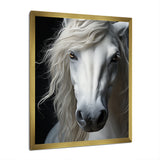 White Horse Serenity - Horse Canvas Wall Art