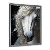 White Horse Serenity - Horse Canvas Wall Art