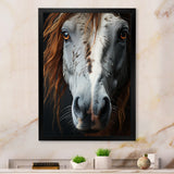 Grey Brown Horse Serenity - Horse Canvas Wall Art