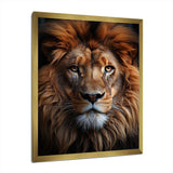 Animal Lion Portrait II - Animals Canvas Wall Art