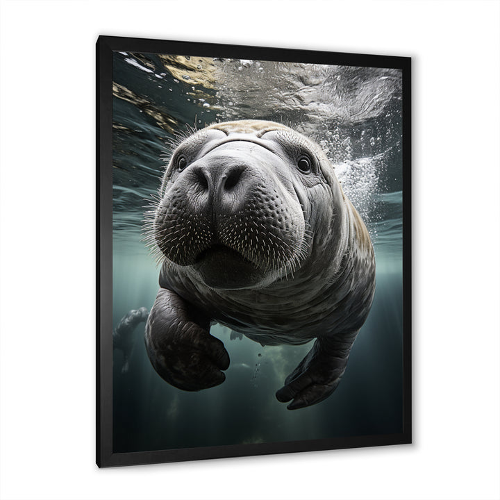 Grey Teal Animal Manatee - Manatee Wall Art Prints