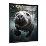 Grey Teal Animal Manatee - Manatee Wall Art Prints