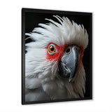 White Coral Animal Parrot - Parrot Canvas Wall Art