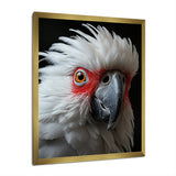 White Coral Animal Parrot - Parrot Canvas Wall Art