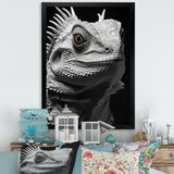 Grey Reptile Amphibian Portrait - Gray Reptile Wall Art