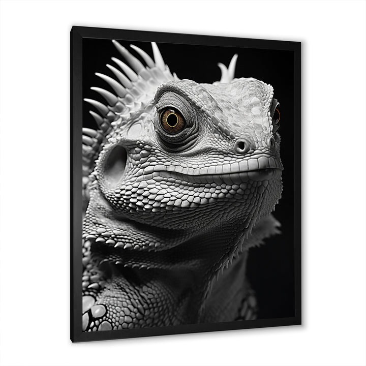 Grey Reptile Amphibian Portrait - Gray Reptile Wall Art