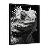 Grey Reptile Amphibian Portrait - Gray Reptile Wall Art