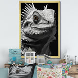 Grey Reptile Amphibian Portrait - Gray Reptile Wall Art