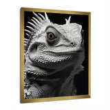 Grey Reptile Amphibian Portrait - Gray Reptile Wall Art