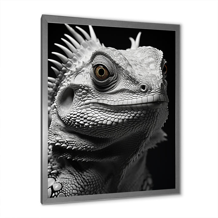 Grey Reptile Amphibian Portrait - Gray Reptile Wall Art