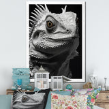 Grey Reptile Amphibian Portrait - Gray Reptile Wall Art