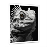 Grey Reptile Amphibian Portrait - Gray Reptile Wall Art