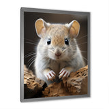 Cute Rodent - Rodent Framed Canvas Art