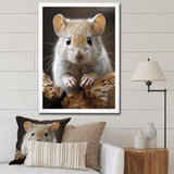 Cute Rodent - Rodent Framed Canvas Art