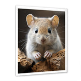 Cute Rodent - Rodent Framed Canvas Art
