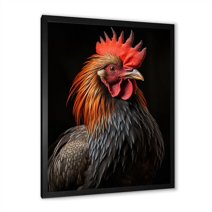 Black Rooster Portrait - Rooster Large Canvas Wall Art