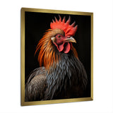Black Rooster Portrait - Rooster Large Canvas Wall Art
