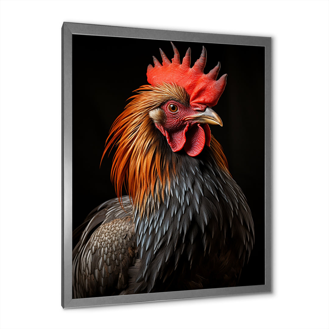 Black Rooster Portrait - Rooster Large Canvas Wall Art