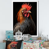 Black Rooster Portrait - Rooster Large Canvas Wall Art
