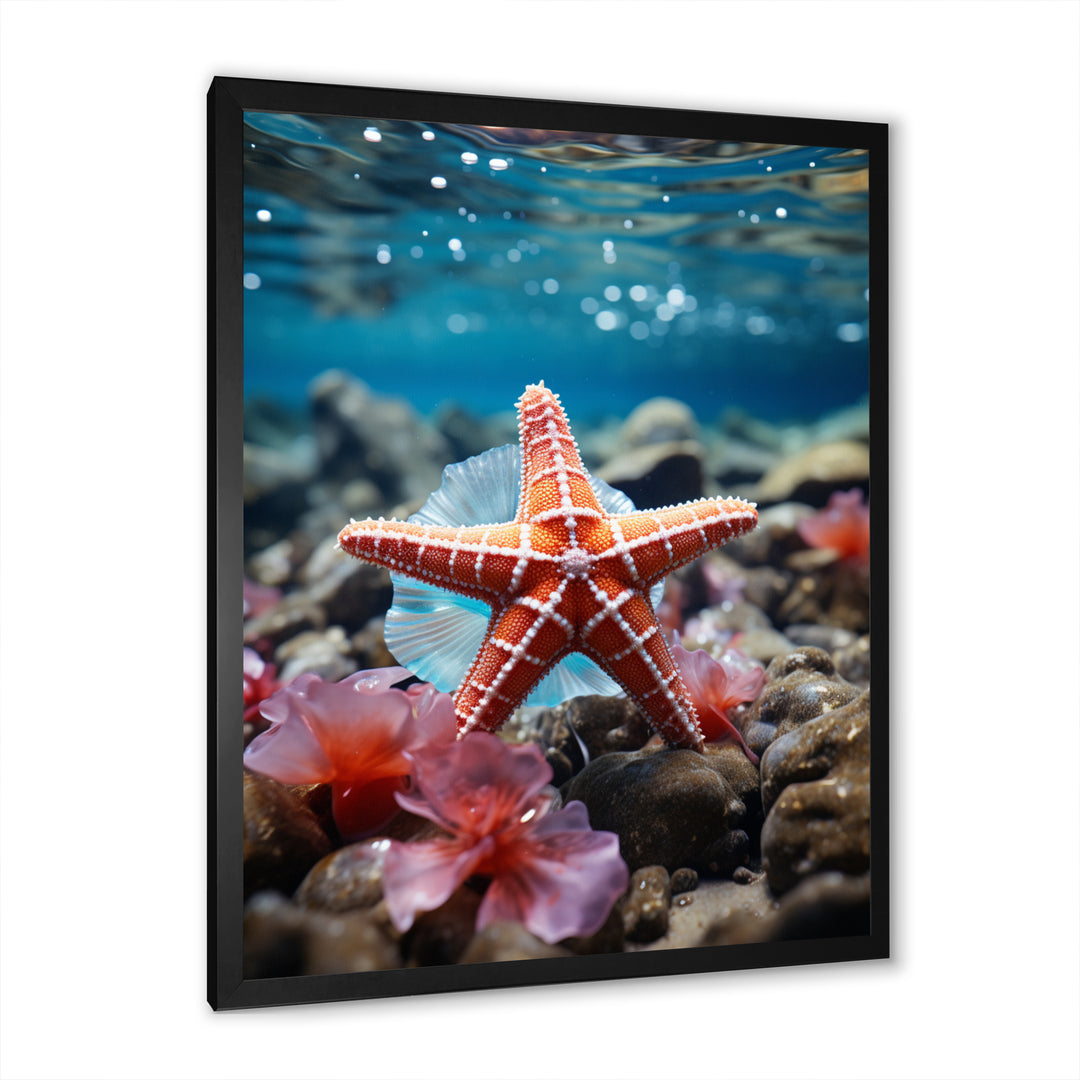Coral Teal Starfish - Starfish Wall Decor