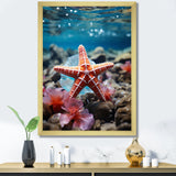 Coral Teal Starfish - Starfish Wall Decor