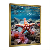 Coral Teal Starfish - Starfish Wall Decor