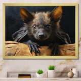 Bat Portrait I - Animals Canvas Wall Art