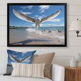 Blue Seagulls In Flight At Beach - Seagull Living Room Wall Art