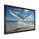 Blue Seagulls In Flight At Beach - Seagull Living Room Wall Art