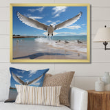 Blue Seagulls In Flight At Beach - Seagull Living Room Wall Art