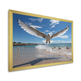 Blue Seagulls In Flight At Beach - Seagull Living Room Wall Art
