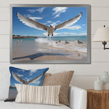 Blue Seagulls In Flight At Beach - Seagull Living Room Wall Art