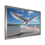 Blue Seagulls In Flight At Beach - Seagull Living Room Wall Art