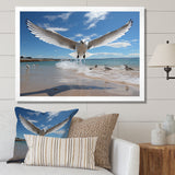 Blue Seagulls In Flight At Beach - Seagull Living Room Wall Art
