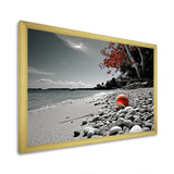 Grey Red Beach Seashell Symphony - Seashell Canvas Wall Art