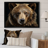 Bear Portrait - Animals Canvas Wall Art