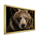 Bear Portrait - Animals Canvas Wall Art