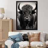 Bison Bison Grazing - Animals Canvas Wall Art