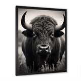 Bison Bison Grazing - Animals Canvas Wall Art