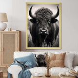 Bison Bison Grazing - Animals Canvas Wall Art