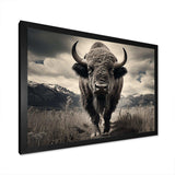 Bison Majestic Bison - Animals Canvas Wall Art