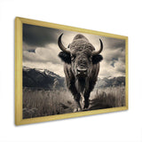 Bison Majestic Bison - Animals Canvas Wall Art