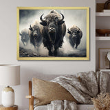 Grey Buffalo Gentle Guardians I - Animals Canvas Wall Art