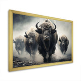 Grey Buffalo Gentle Guardians I - Animals Canvas Wall Art