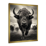 Grey Buffalo Grazing Giants - Buffalo Wall Decor