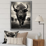 Grey Buffalo Grazing Giants - Buffalo Wall Decor