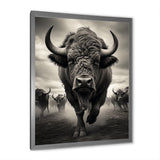 Grey Buffalo Grazing Giants - Buffalo Wall Decor