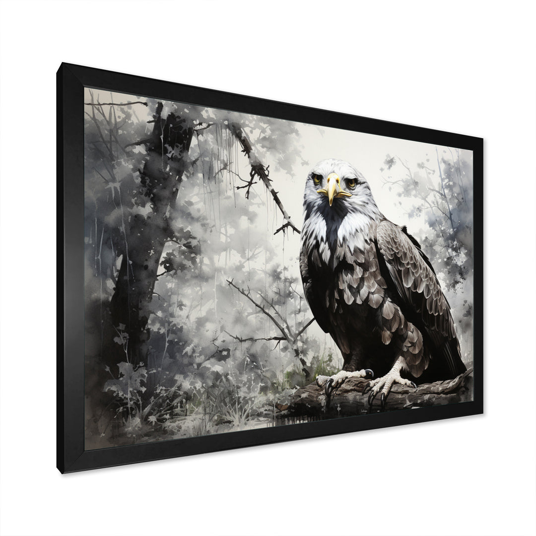 Grey Eagle Shadows Of Serenity - Eagle Framed Canvas Art
