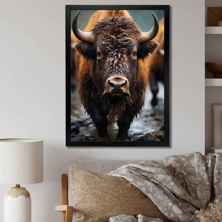 Buffalo National Photo - Bison Wall Art Prints